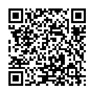 对于李峰能够这么快就突破到一阶魔导师和一阶大剑师二维码生成