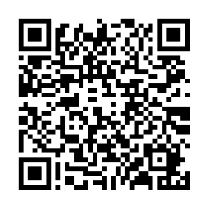 对于秦月瑶他觉得自己应该不会和她有什么太深的交际二维码生成