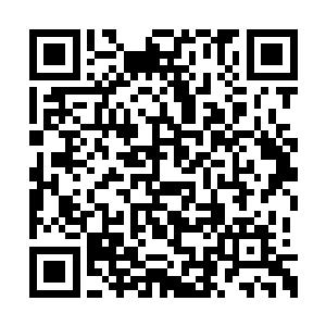 对于自己被金在珉看了裙底春光她内心没有恼怒二维码生成