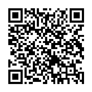 对于金在珉选择在这边举办演唱会众人自然不会觉得有问题二维码生成