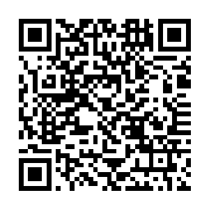 对他这位海州市常务副市长的儿子就更应该尽力讨好二维码生成