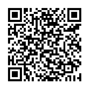 对她说我对日本艺妓了解不多自然谈不上有什么看法二维码生成