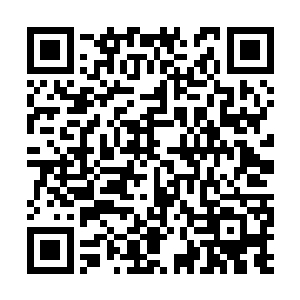 对妖狂的危害要比刚才那些只放血的伤口要大的多二维码生成