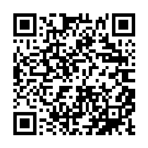 对张潇晗和木槿这样的人修却不曾露出吃惊的表情二维码生成