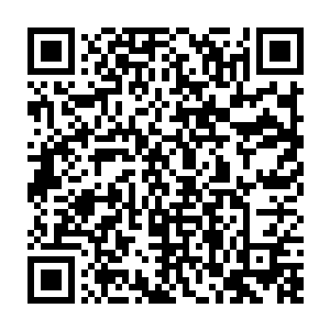 对方怕沈馥事后发现电影对自己在国内的人气提升没有帮助而对他们有意见二维码生成