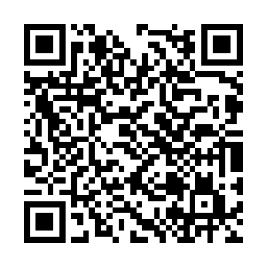 对方的身上竟然穿着一件九品后期巅峰防御型仙器二维码生成