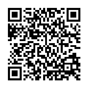 对方砸来的一枪和自己手中九节鞭招架在一起时她突然发现不对二维码生成