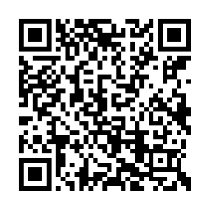 对着之前北布下的血阵儿子伸出了那肥胖的小手二维码生成