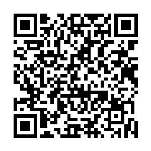 对这完全无法用镜头去描绘的味道世界他们完全束手无策二维码生成