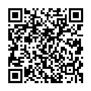 寻思着找其他的师兄弟回合……结果稀里糊涂的便走到了这里二维码生成