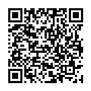 导致严小稣一直认为王铮未来会是能成大事儿的人二维码生成