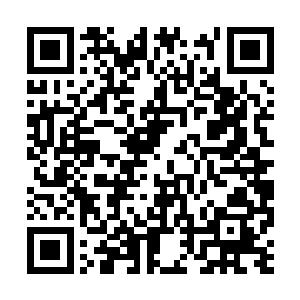 导致他根本没办法在杨开面前发挥出域主级的力量二维码生成