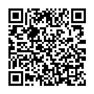 导致小乾坤壁垒屏障变得比正常八品要凝厚的多二维码生成