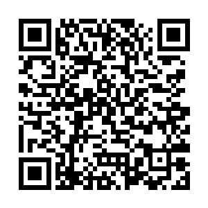 导致第二年九原迎来了建立部落以来最大一次出生潮二维码生成