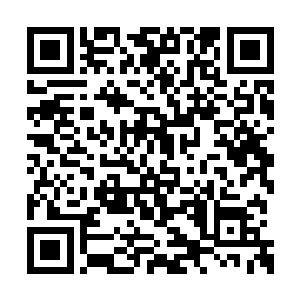 封不觉也是随便用格斗盘招架了一下就扛过去了二维码生成