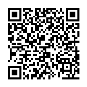 封界神石不知道自己镇封的东西已经以金蝉脱壳之法逃走二维码生成