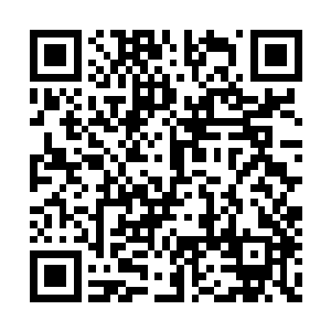 将一个主动伤害技能一半的攻击力反弹给释放者二维码生成
