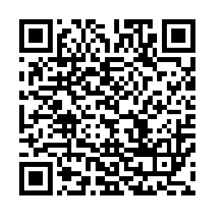 将一件行囊中的道具以数据形态展现在会议桌的三维投影上二维码生成