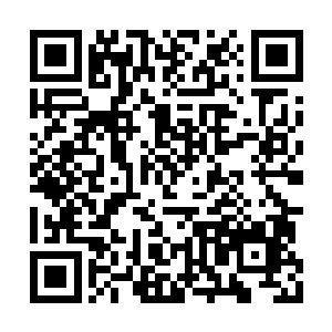 将一枚表面已经变成灰色岩石模样的卵拿在手心二维码生成