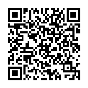 将一直呆在宠物空间当中的四阶独角兽王放了出来二维码生成