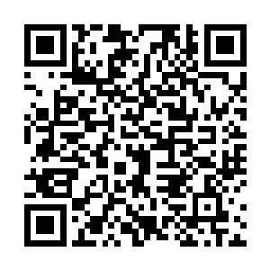 将他们每一次攻击造成的破坏都以参数的形式记录下来二维码生成