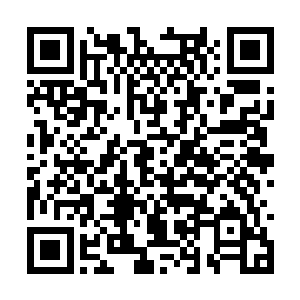 将会知道在纽约时代广场出现过这样一场表演的人二维码生成