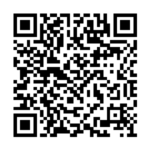 将整个儿海底世界衬托得宛若一个童话世界一般二维码生成