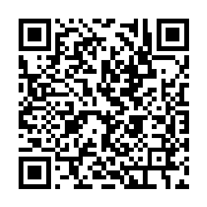 将时间留给了下面在不断观看着猫女的众多修真者二维码生成