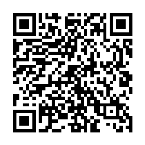 将来……姜次辅同莫冠杰一样忧心该给阿九寻个怎样的夫婿二维码生成