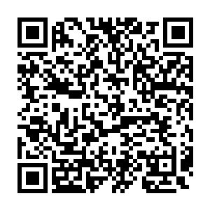 将林铭二十息击碎第一世界的消息传递给了凤仙子和远古凰城城主二维码生成