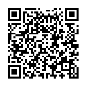 将空虚公子身上的虚空法则和源五行胚胎直接抓了出来二维码生成