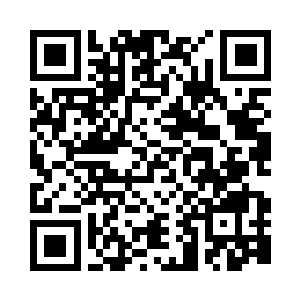 将背后的屏幕完整的展示在所有人眼前二维码生成