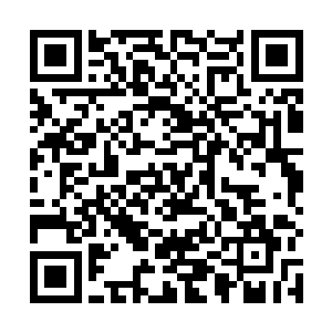 将这有无尽迷雾所组成的幻境给撕开了一个巨大的缺口二维码生成