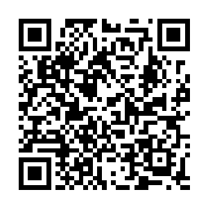 将那共工魂魄精元引到了栽种在肾脏巫鼎中的先天蟠桃树二维码生成