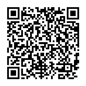 将那声惨叫也硬生生被重重的撞击连同碎掉的牙齿一同吞进肚子里去了二维码生成