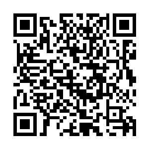 将里面的几十颗四阶魔核和四颗五阶魔核都给吸了出来二维码生成