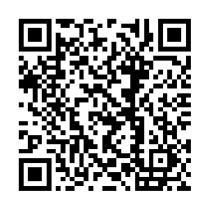 将锅碗瓢盆作料等各式各样的东西全部都搬了出来二维码生成