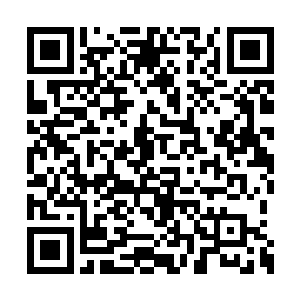将阵道以及丹道的大道印记也打入凝霜元神之中二维码生成