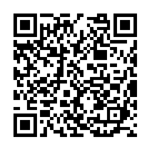 将霍君白面前的一大片水域全部染成伸手不见五指二维码生成