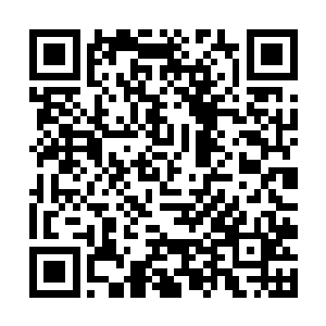 小世子很殷勤的把自己那份分给朝倾公主和东延太子二维码生成