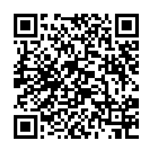 小五估计是第一次和一个初中生聊这种很严肃的问题二维码生成