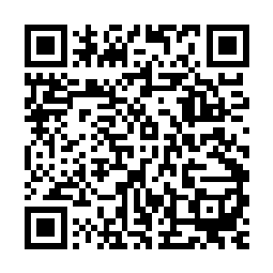 小儒一下子就认出了不远处的几个人正是白天在客栈内的那三人二维码生成