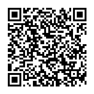 小囡囡张开了小胖手之后发现爸爸选错了立刻就开心了起来大声的叫道二维码生成