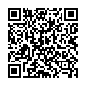 小学语文一年级下册……一个学年两学期就是四本书二维码生成