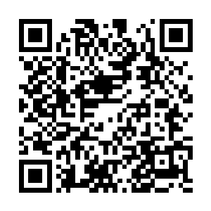 小宝就在这个紫灵藤的牢笼里消耗着苗御轩的灵力二维码生成