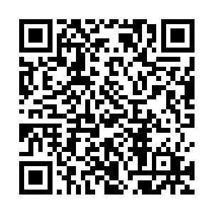 小家伙缺了一只角的大脑袋又警醒的从被子里冒出来了二维码生成