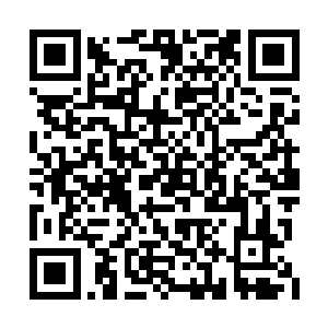 小心翼翼的在兜里拿出一枚晶亮闪烁的银色钻戒二维码生成