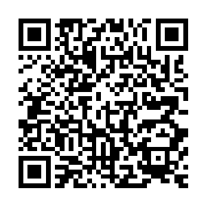 小熊傍晚从皇宫里下课出来后就和齐浩然要求先去医馆找黄仁二维码生成