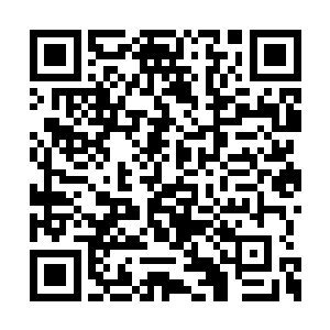 小狐狸的有些招数可能就不是老狐狸能掌握的了二维码生成