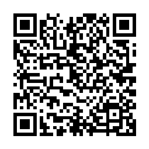 小白似乎十分乐意照顾年纪和体形都比他大可智商没他高的周亮二维码生成